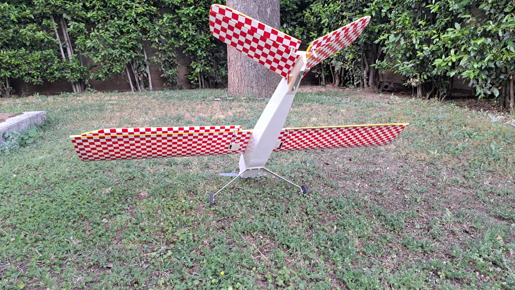 Anteprima 2 di Modello autocostruito