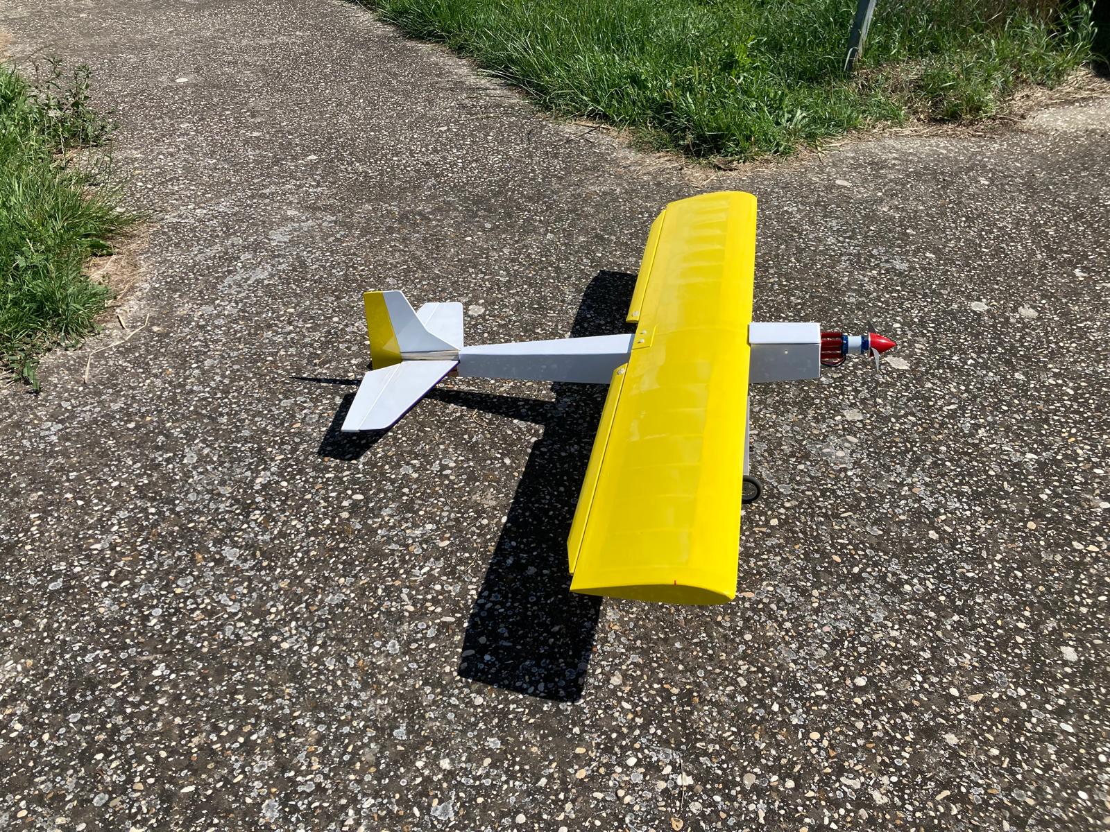 Anteprima 1 di Modello autocostruito