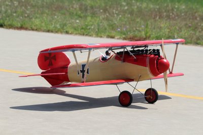 Albatros