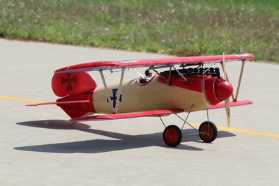 Albatros