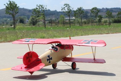 Anteprima 1 di Albatros