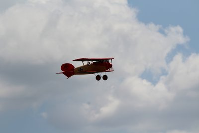 Anteprima 2 di Albatros