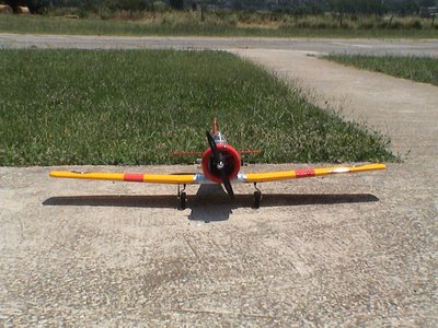 Anteprima 1 di AT-6 Texan (Great Planes)
