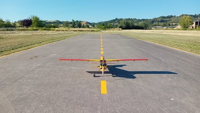 Timber 110" Hangar 9