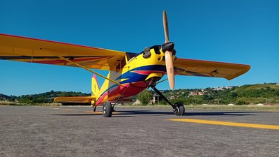 Anteprima 1 di Timber 110" Hangar 9