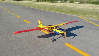 Anteprima 2 di Timber 110" Hangar 9