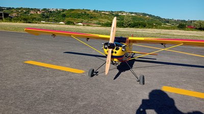 Anteprima 3 di Timber 110" Hangar 9