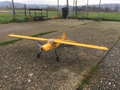 Anteprima 1 di Maxford USA Fi-156 “Storch” (Cicogna)