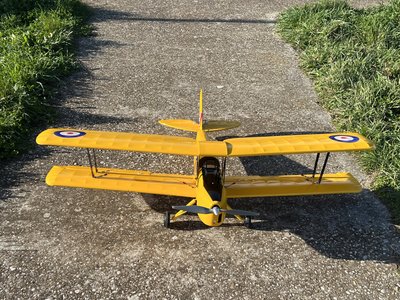 Anteprima 1 di TIGER MOTH (PHOENIX MODEL)