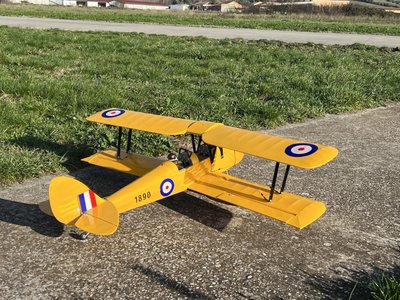 Anteprima 2 di TIGER MOTH (PHOENIX MODEL)