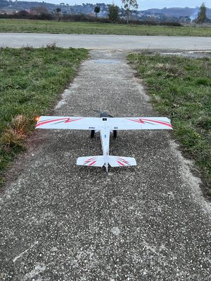 Anteprima 1 di TIMBER (E-Flite)