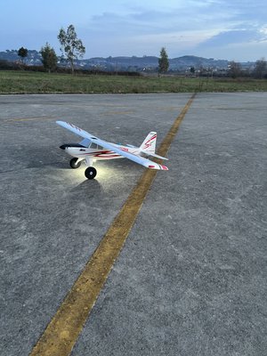 TIMBER (E-Flite)