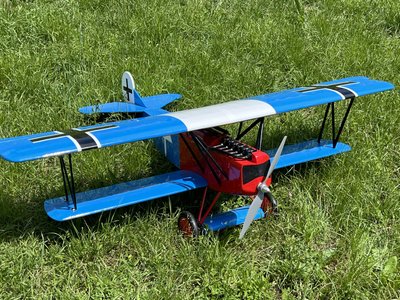 Fokker D.VII (Hangar 9)