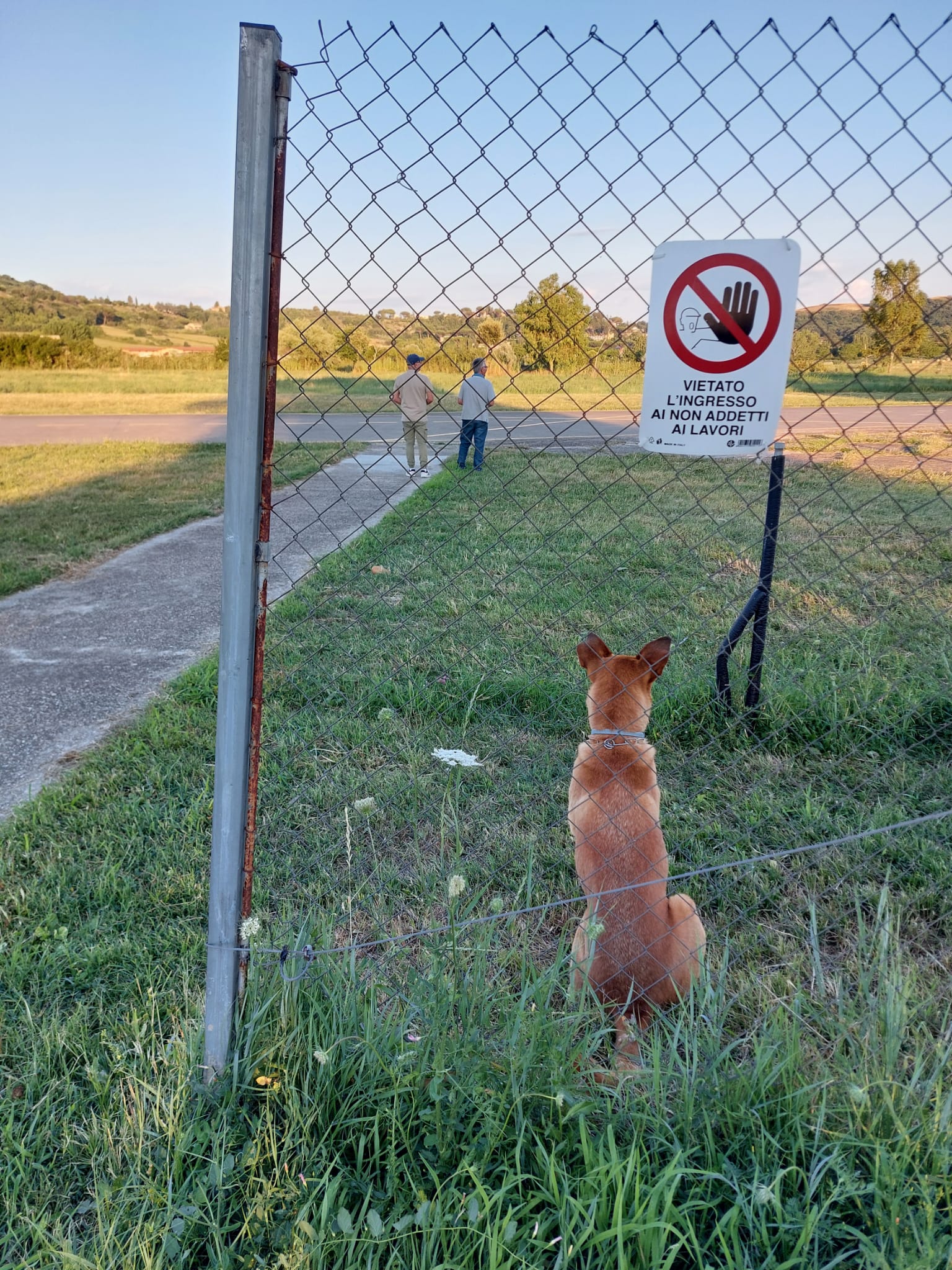 Voli al tramonto 2026