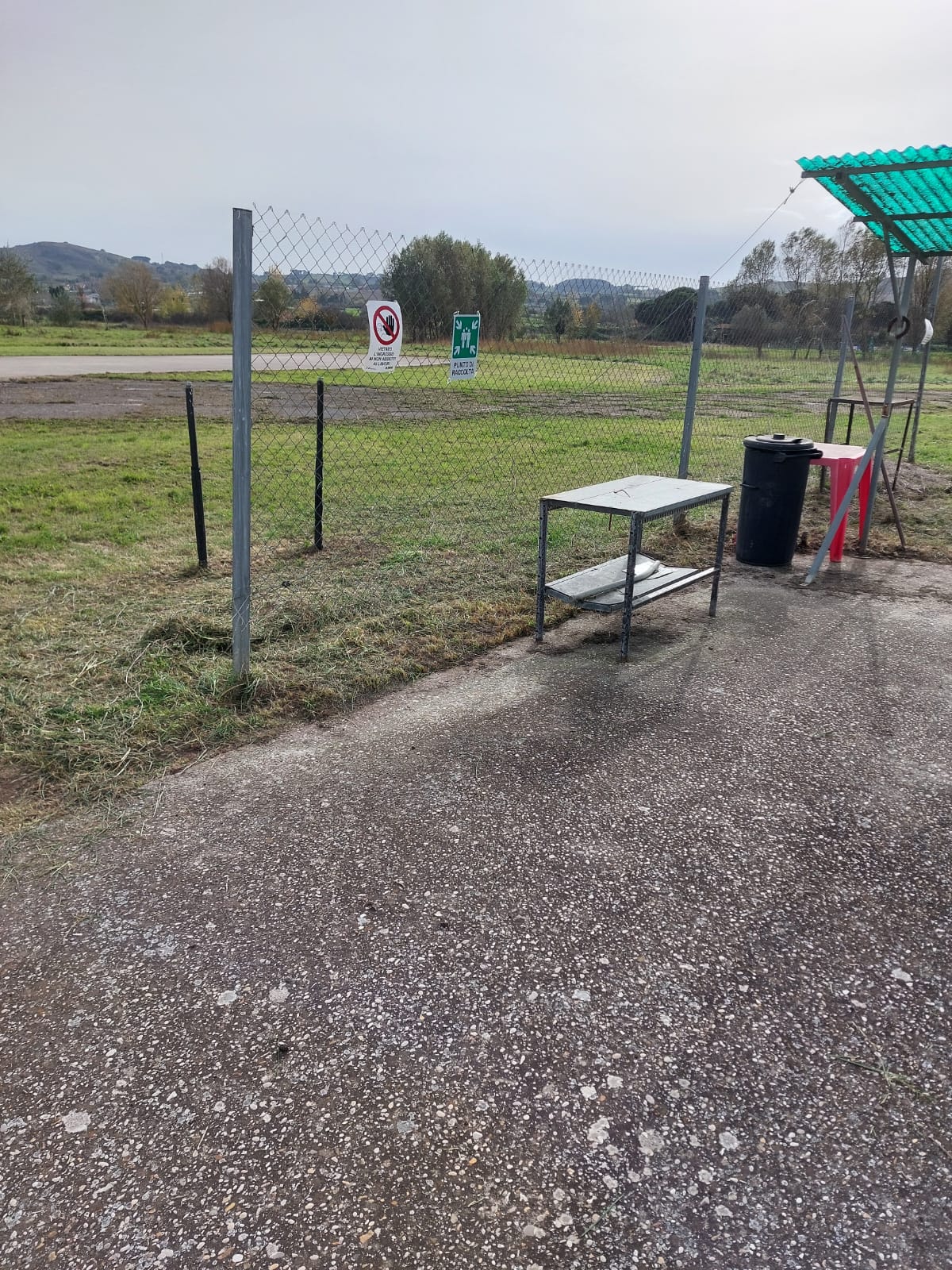 Pista day!